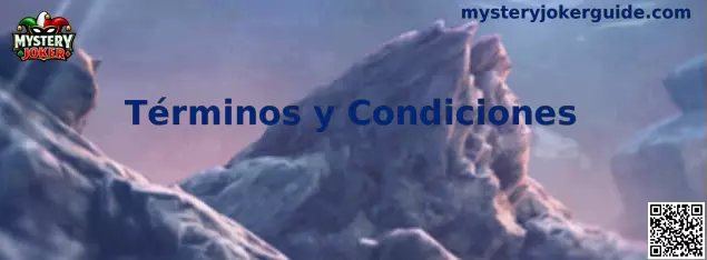 Términos y Condiciones de Mystery Joker